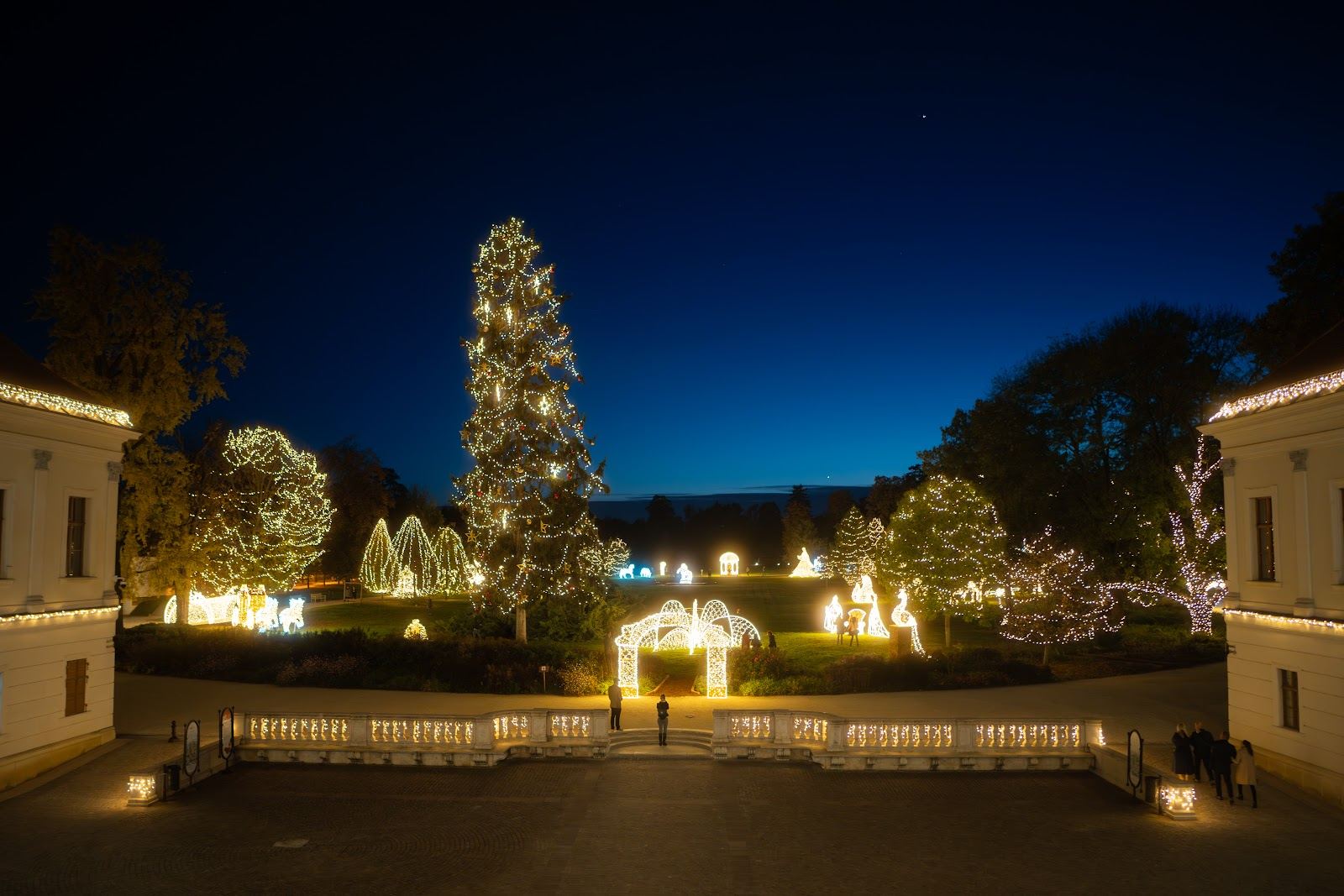Overview of the light park with a tall Christmas tree at twilight